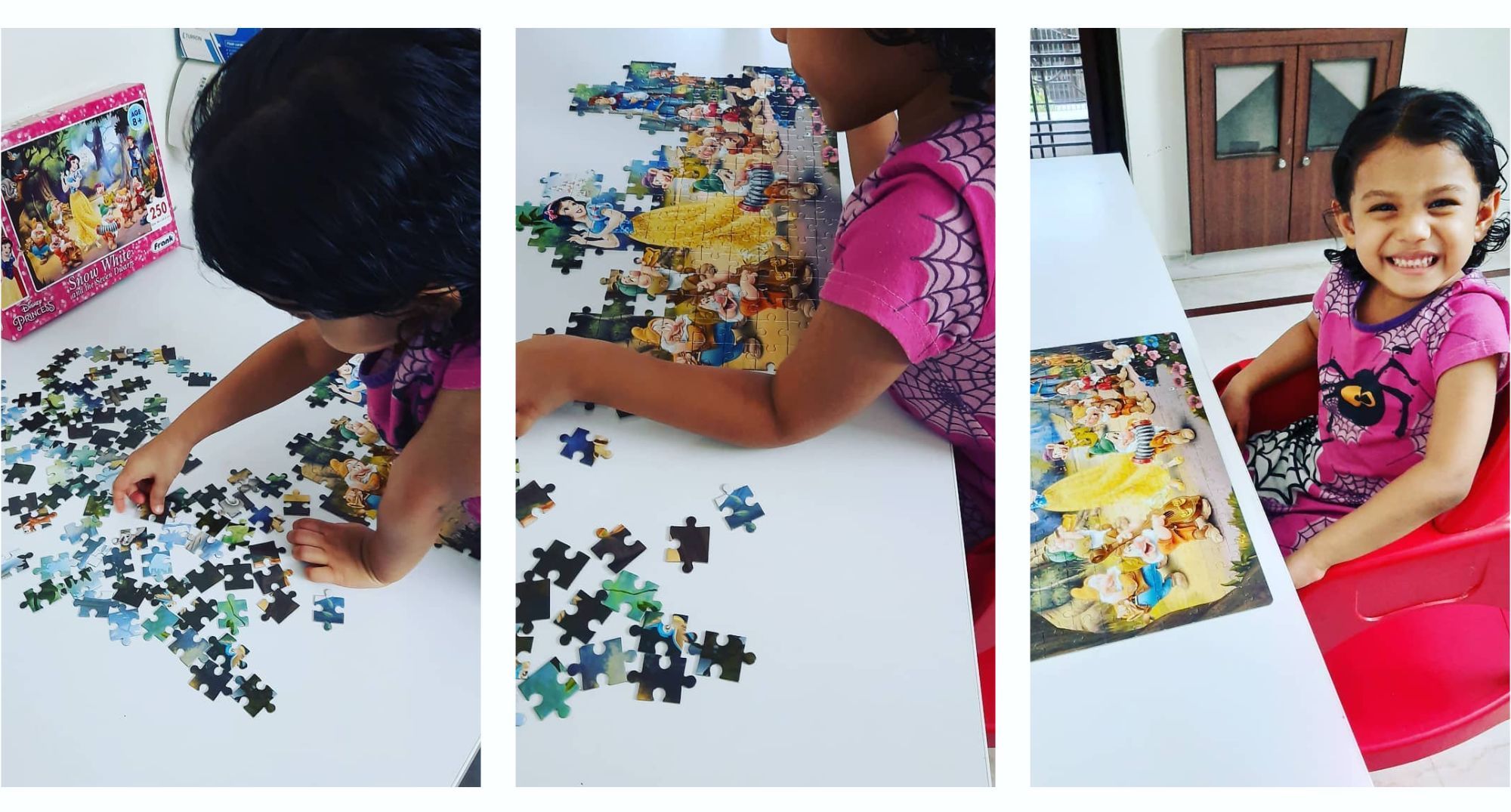 250 Piece Puzzle Narishakti